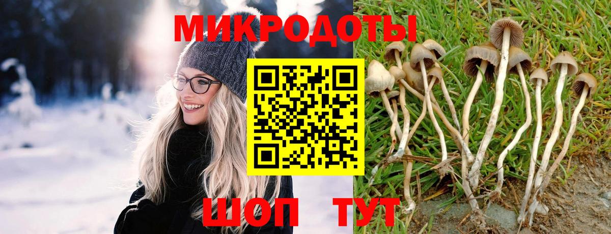 Псилоцибиновые грибы GOLDEN TEACHER Симферополь